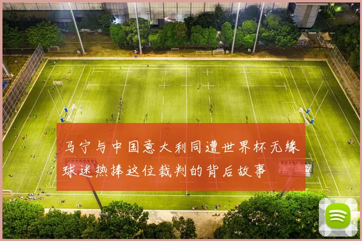 马宁与中国意大利同遭世界杯无缘球迷热捧这位裁判的背后故事