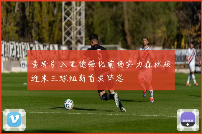 黄蜂引入里德强化前场实力森林狼迎来三球组新首发阵容